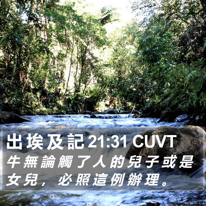 出 埃 及 記 21:31 CUVT Bible Study