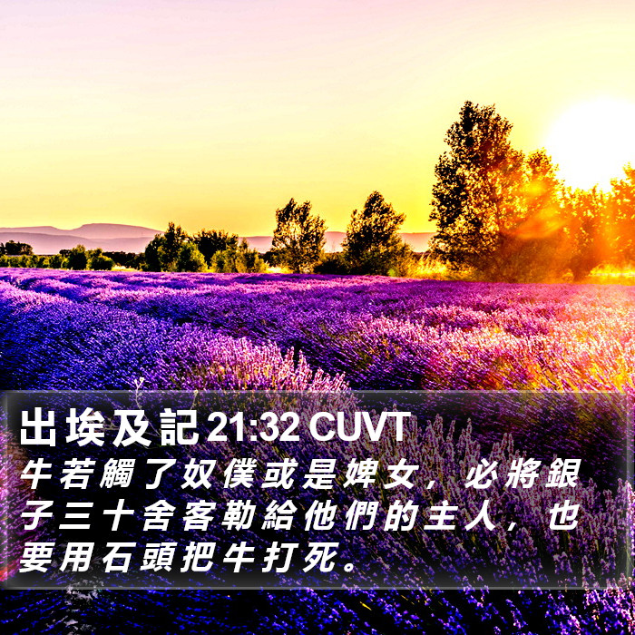 出 埃 及 記 21:32 CUVT Bible Study