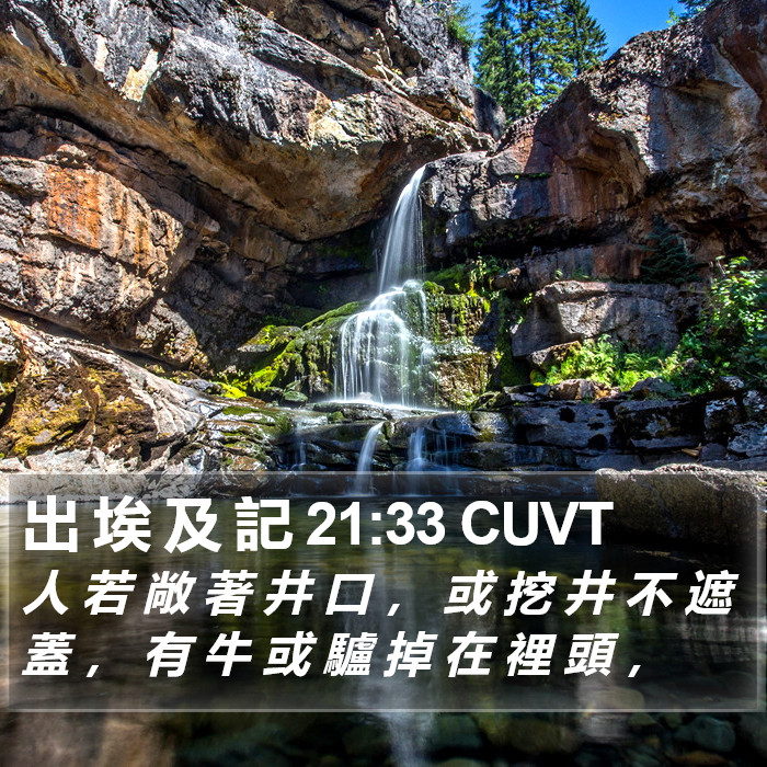 出 埃 及 記 21:33 CUVT Bible Study