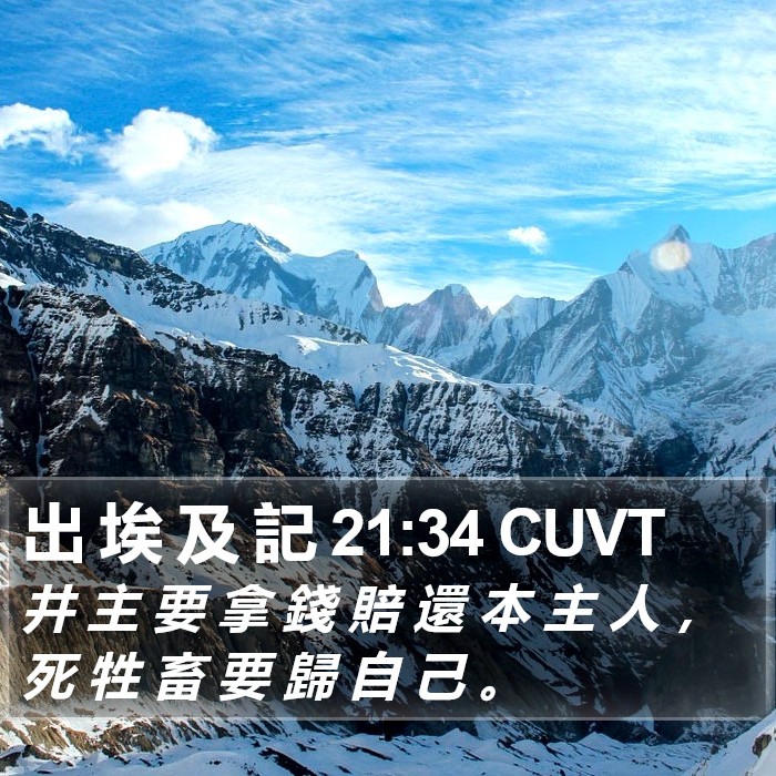出 埃 及 記 21:34 CUVT Bible Study