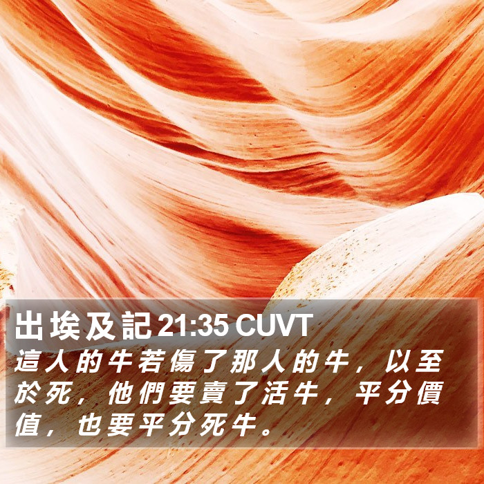 出 埃 及 記 21:35 CUVT Bible Study