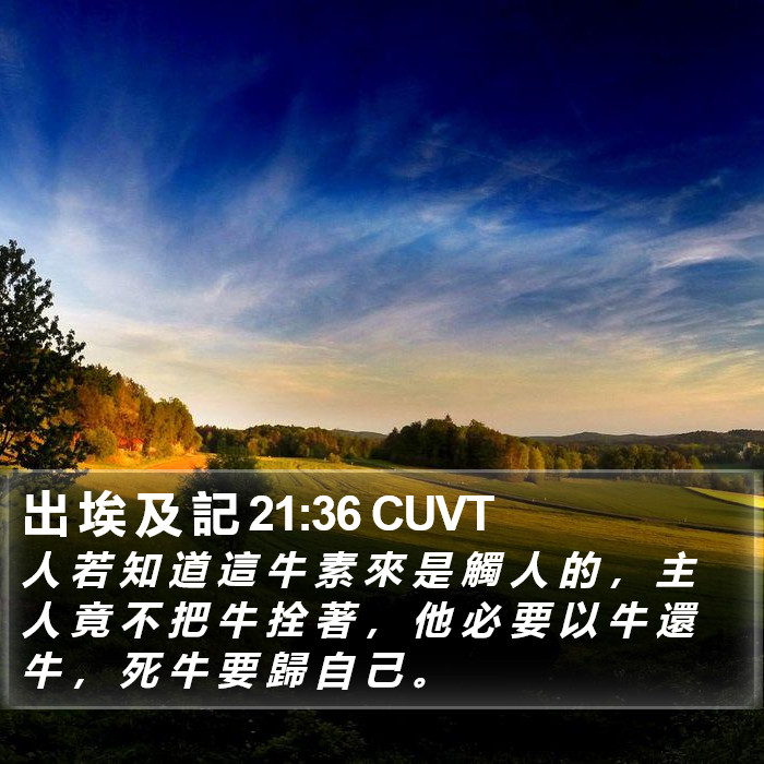 出 埃 及 記 21:36 CUVT Bible Study