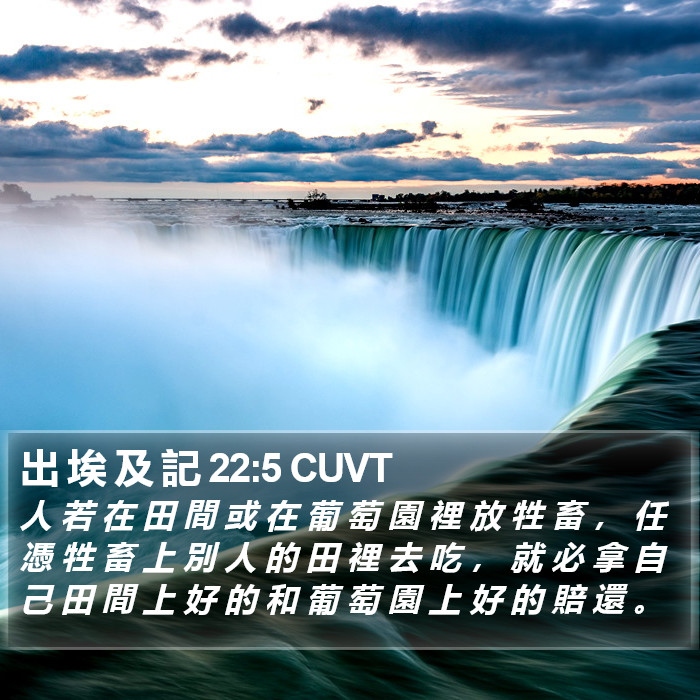 出 埃 及 記 22:5 CUVT Bible Study