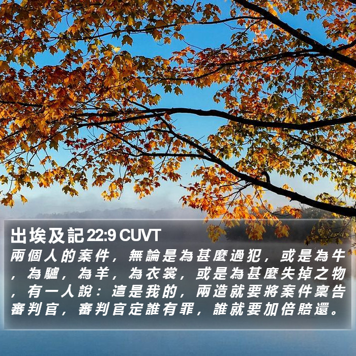 出 埃 及 記 22:9 CUVT Bible Study