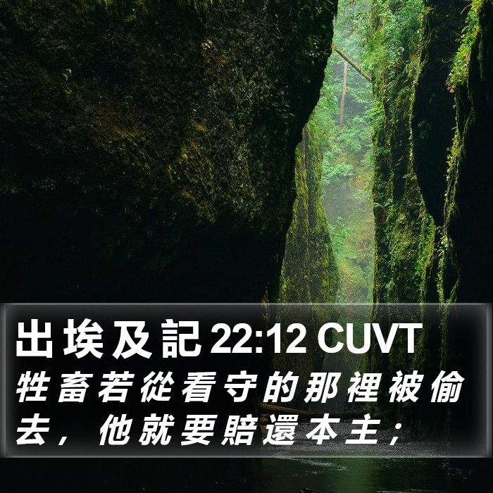 出 埃 及 記 22:12 CUVT Bible Study
