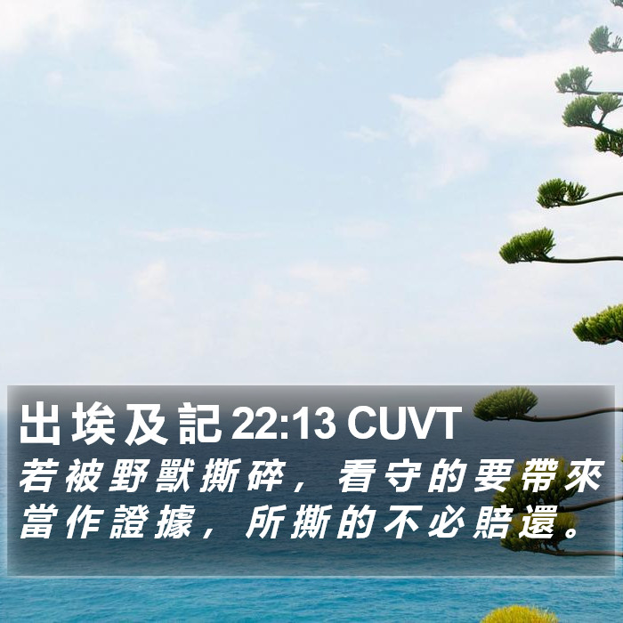 出 埃 及 記 22:13 CUVT Bible Study