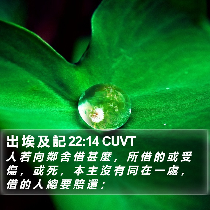 出 埃 及 記 22:14 CUVT Bible Study