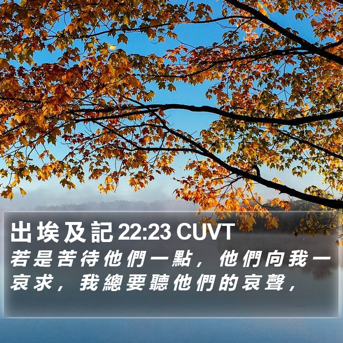 出 埃 及 記 22:23 CUVT Bible Study