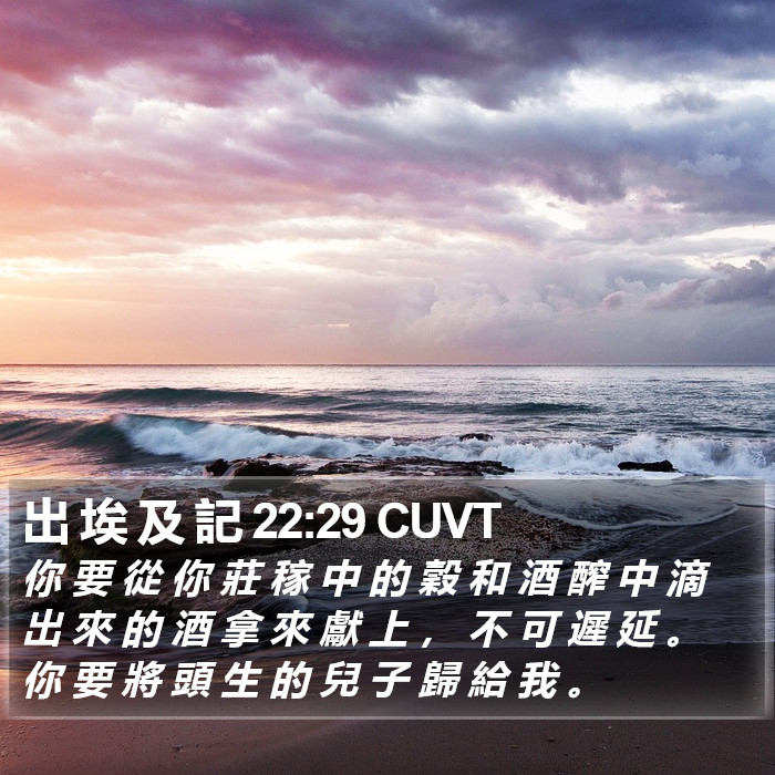 出 埃 及 記 22:29 CUVT Bible Study