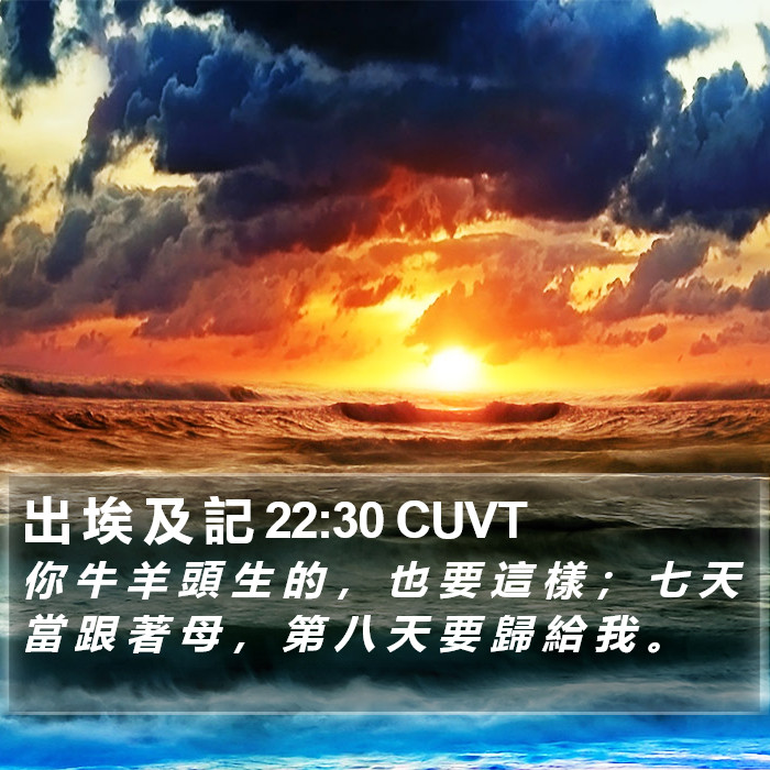 出 埃 及 記 22:30 CUVT Bible Study