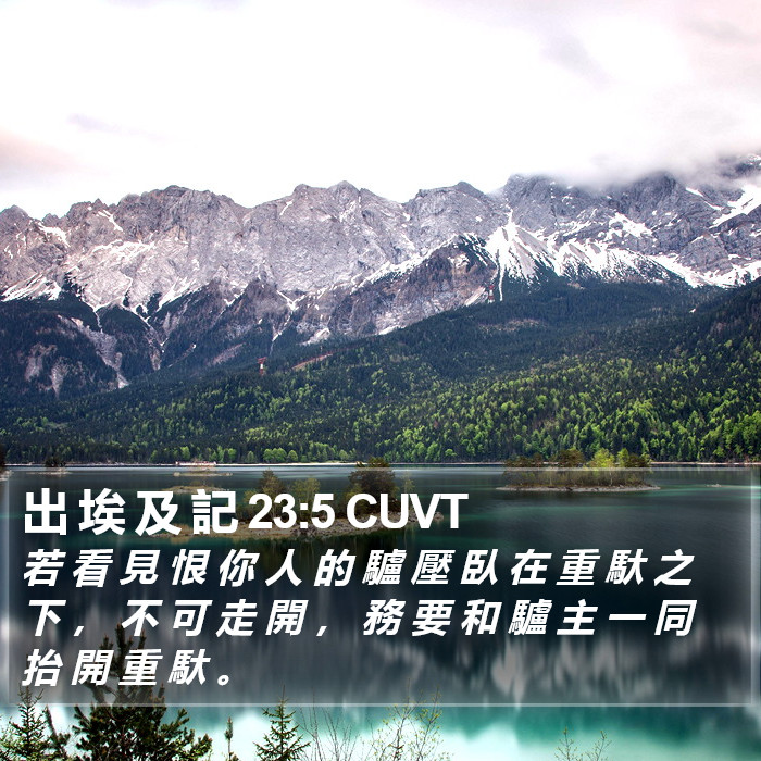 出 埃 及 記 23:5 CUVT Bible Study