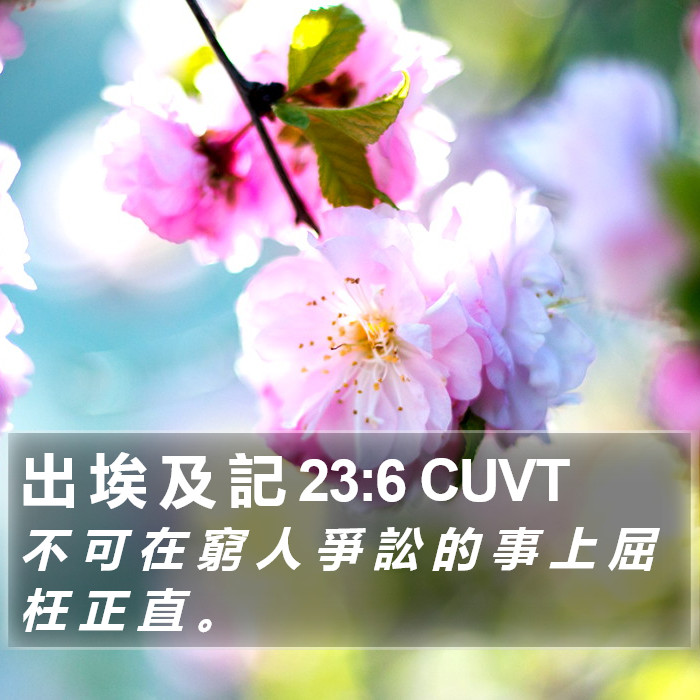 出 埃 及 記 23:6 CUVT Bible Study