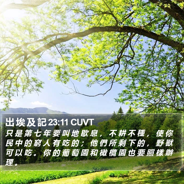 出 埃 及 記 23:11 CUVT Bible Study