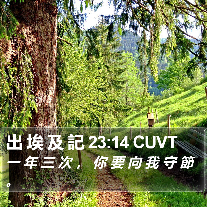 出 埃 及 記 23:14 CUVT Bible Study