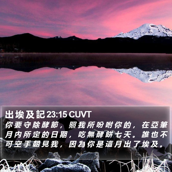 出 埃 及 記 23:15 CUVT Bible Study