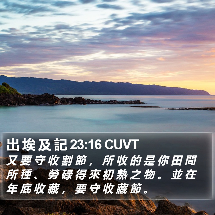 出 埃 及 記 23:16 CUVT Bible Study