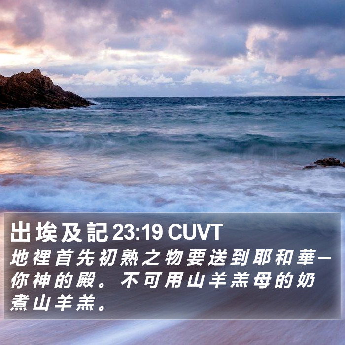 出 埃 及 記 23:19 CUVT Bible Study