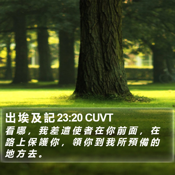 出 埃 及 記 23:20 CUVT Bible Study