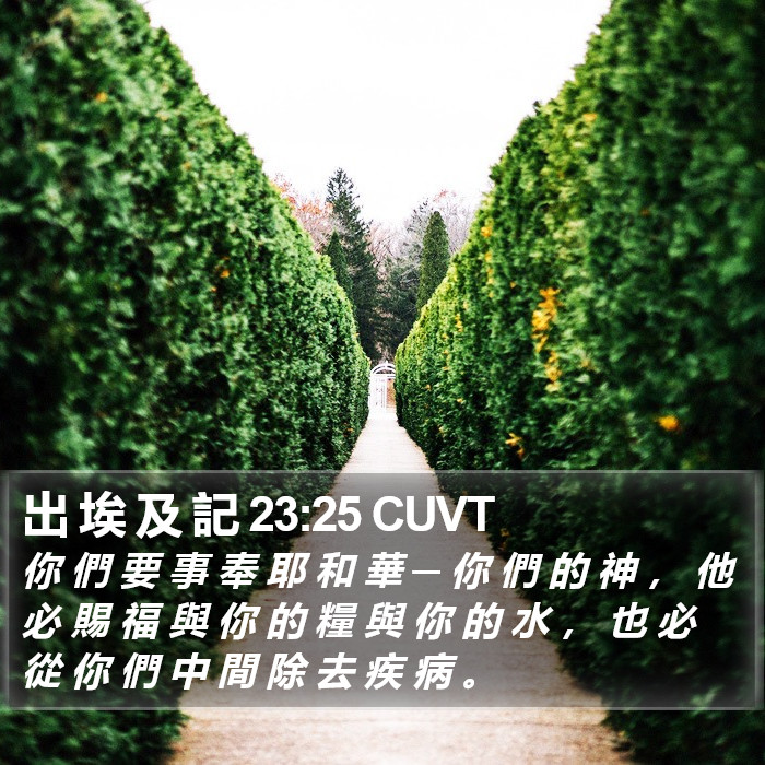 出 埃 及 記 23:25 CUVT Bible Study