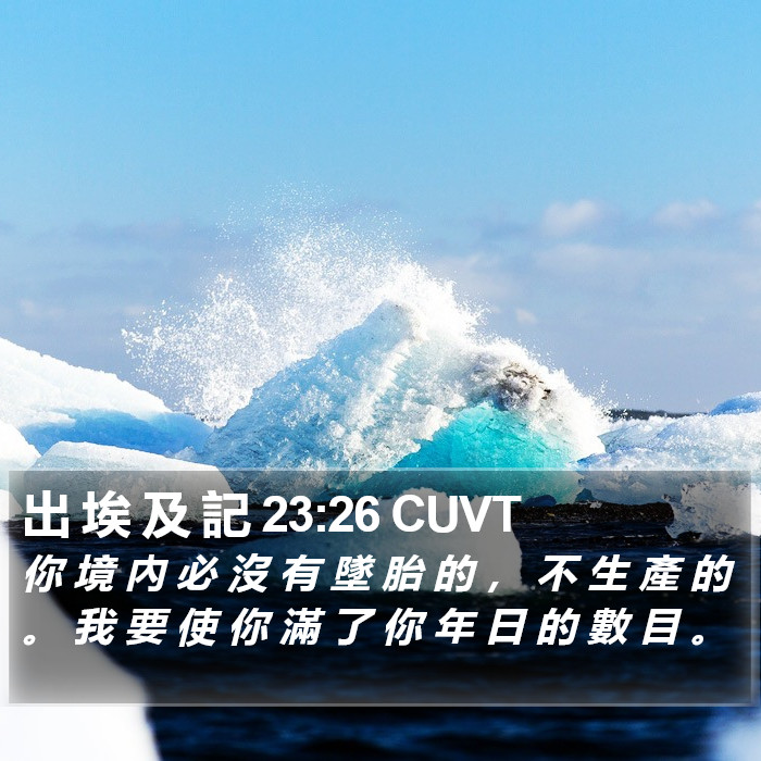 出 埃 及 記 23:26 CUVT Bible Study