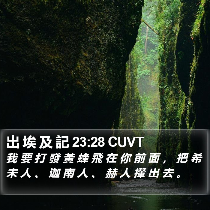 出 埃 及 記 23:28 CUVT Bible Study