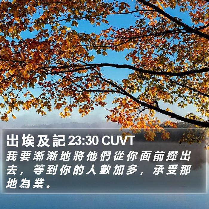 出 埃 及 記 23:30 CUVT Bible Study