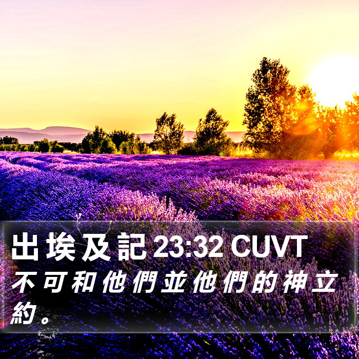 出 埃 及 記 23:32 CUVT Bible Study