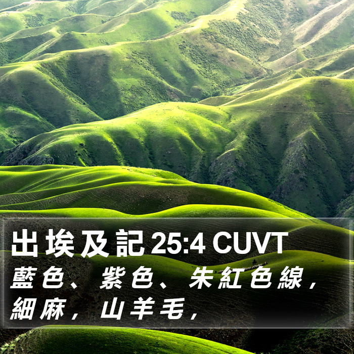 出 埃 及 記 25:4 CUVT Bible Study