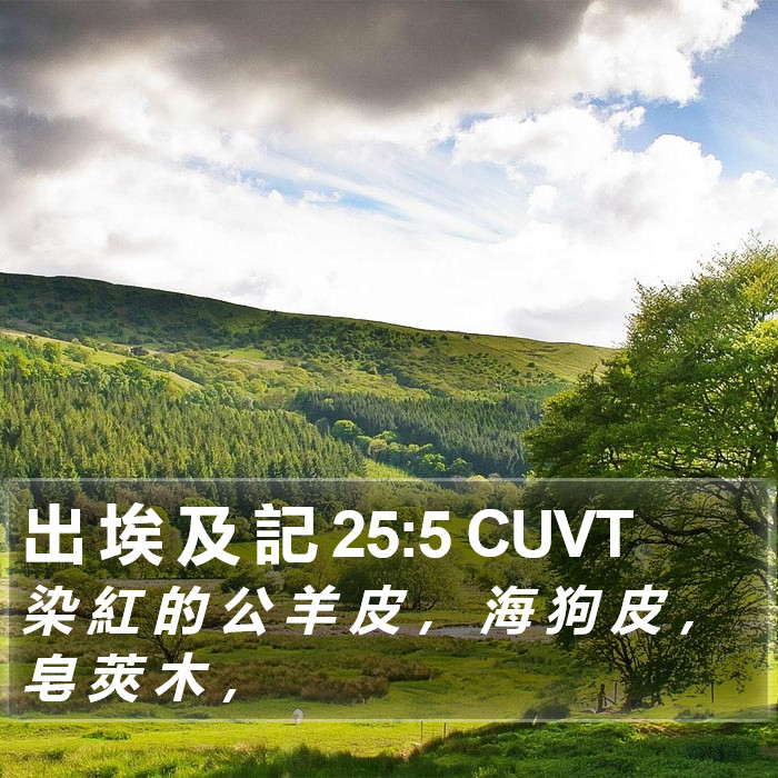 出 埃 及 記 25:5 CUVT Bible Study