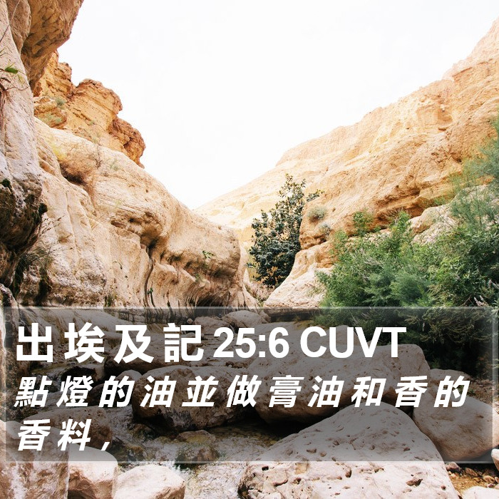 出 埃 及 記 25:6 CUVT Bible Study