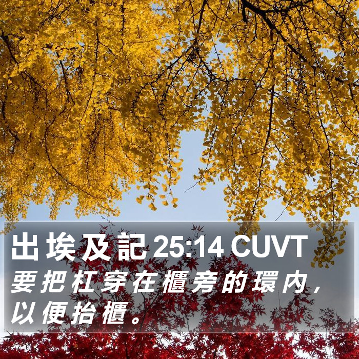 出 埃 及 記 25:14 CUVT Bible Study