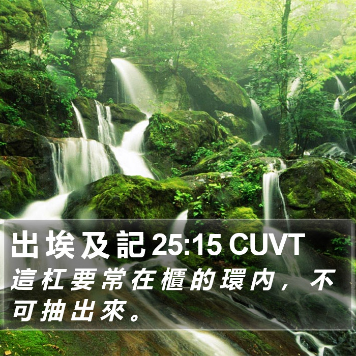 出 埃 及 記 25:15 CUVT Bible Study