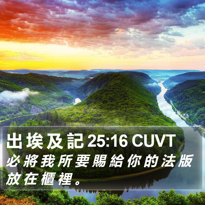 出 埃 及 記 25:16 CUVT Bible Study
