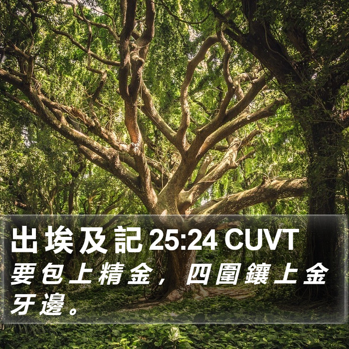 出 埃 及 記 25:24 CUVT Bible Study