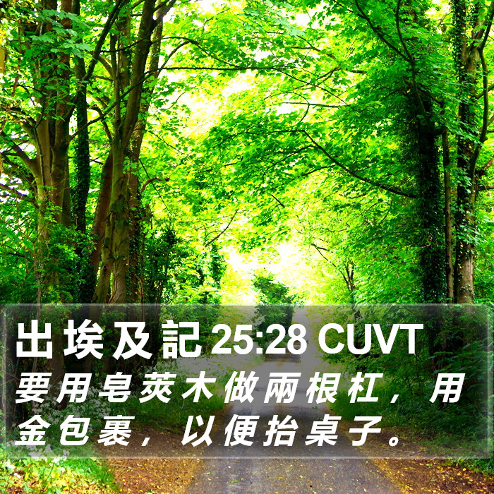 出 埃 及 記 25:28 CUVT Bible Study