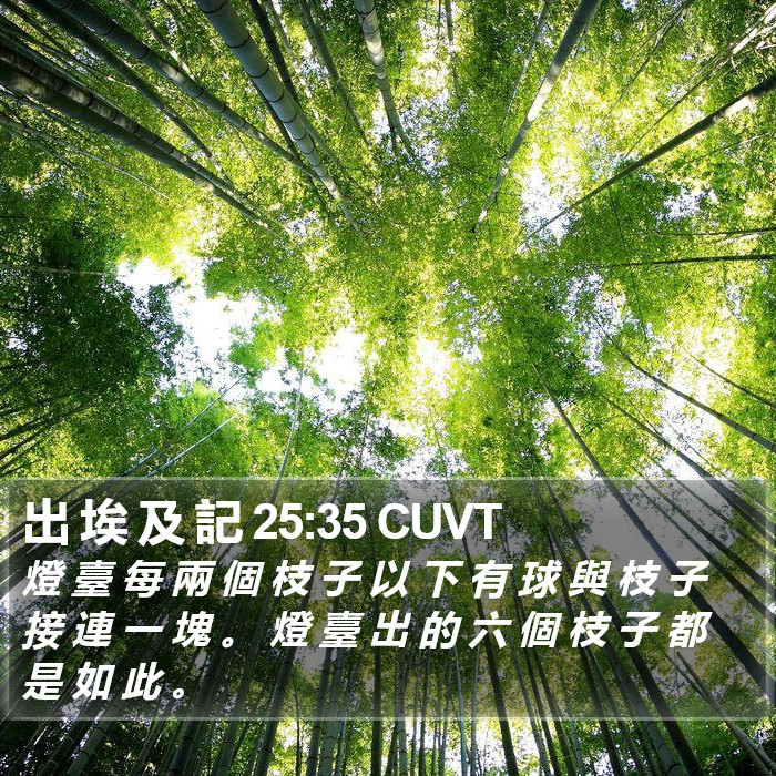 出 埃 及 記 25:35 CUVT Bible Study