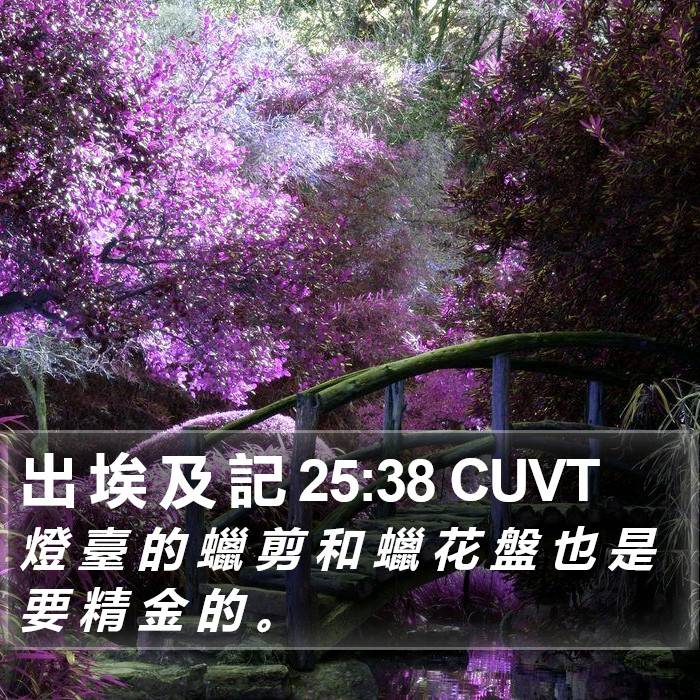 出 埃 及 記 25:38 CUVT Bible Study