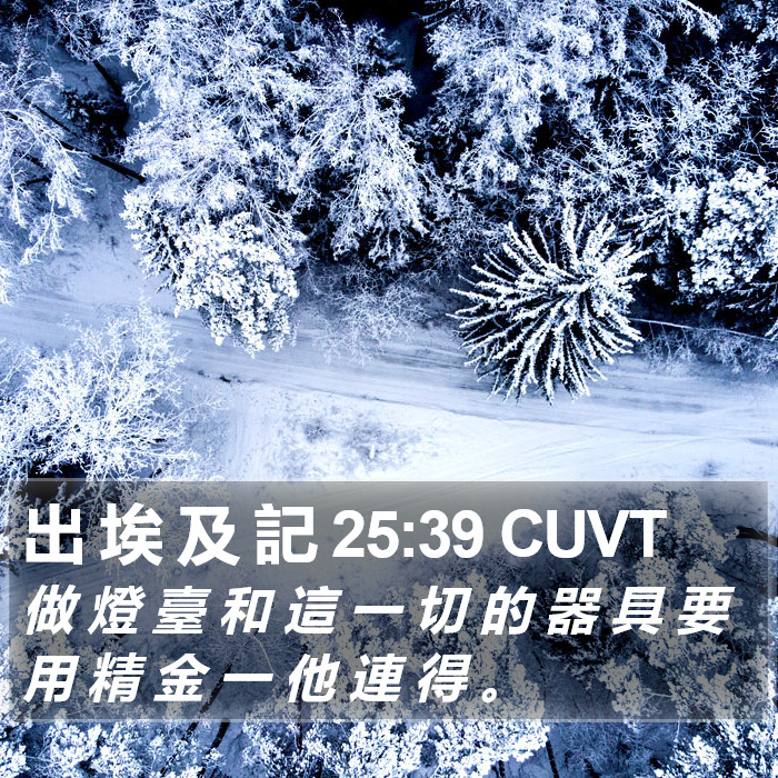出 埃 及 記 25:39 CUVT Bible Study