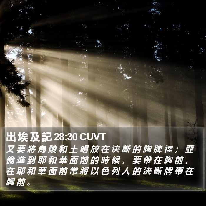 出 埃 及 記 28:30 CUVT Bible Study