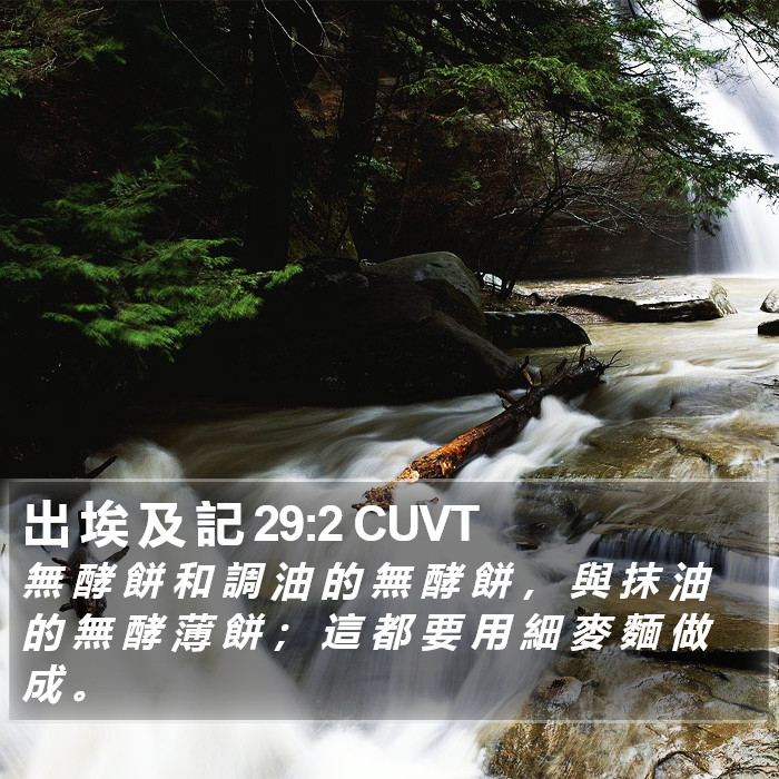 出 埃 及 記 29:2 CUVT Bible Study
