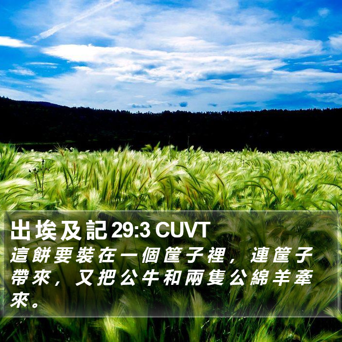 出 埃 及 記 29:3 CUVT Bible Study