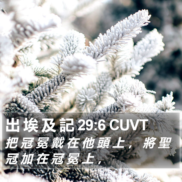 出 埃 及 記 29:6 CUVT Bible Study