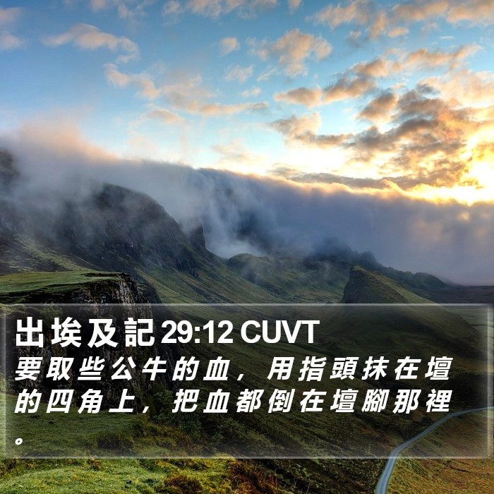 出 埃 及 記 29:12 CUVT Bible Study