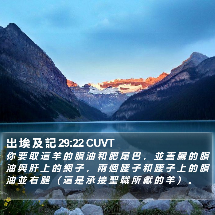 出 埃 及 記 29:22 CUVT Bible Study