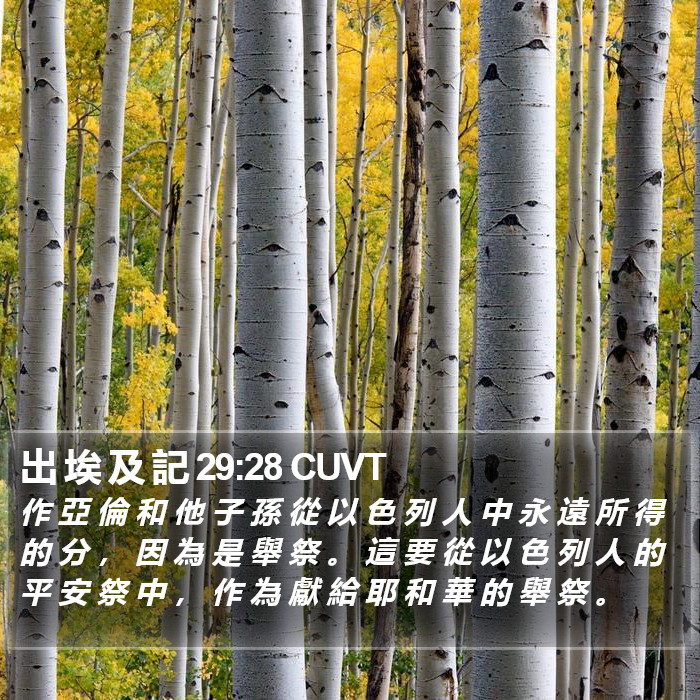 出 埃 及 記 29:28 CUVT Bible Study