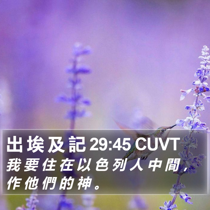 出 埃 及 記 29:45 CUVT Bible Study