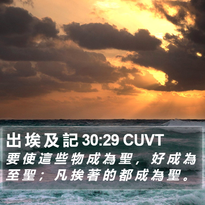出 埃 及 記 30:29 CUVT Bible Study
