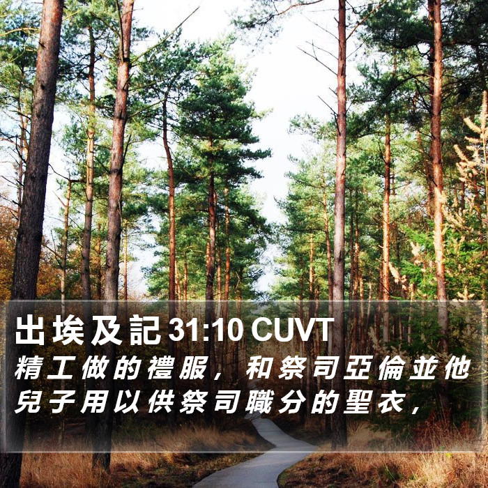 出 埃 及 記 31:10 CUVT Bible Study