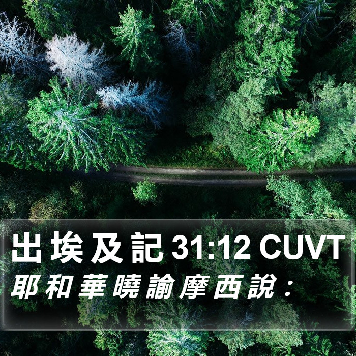 出 埃 及 記 31:12 CUVT Bible Study