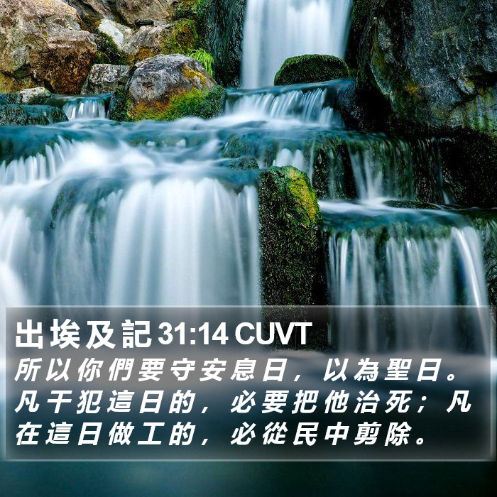 出 埃 及 記 31:14 CUVT Bible Study